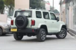 Tank 300 Time Traveler Compact SUV– Buy Direct From China | Electric Car From China Canada